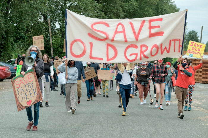 Photo of protesters carrying sign that says Save Old Growth from Fairy Creek protests in BC. Photo credit: Blake Elliot/Shutterstock
